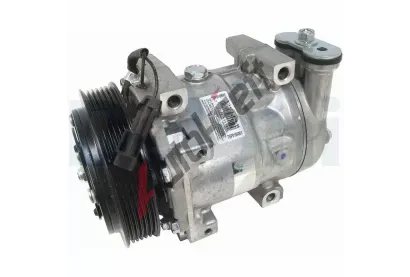DELPHI Kompresor klimatizace DF TSP0159061, TSP0159061