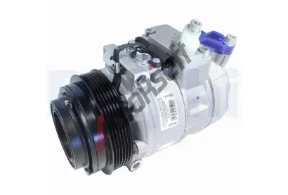DELPHI Kompresor klimatizace DF TSP0159083, TSP0159083