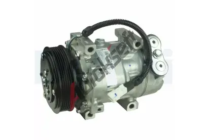 DELPHI Kompresor klimatizace DF TSP0159273, TSP0159273