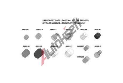DELPHI Krytka servisnho ventilu DF TSP0695018, TSP0695018
