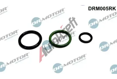 Dr.Motor Automotive Sada na opravu jednotky trysky čerpadla DMA DRM005RK, DRM005RK Dr.Motor Automotive Sada na opravu jednotky trysky čerpadla DMA DRM005RK, DRM005RK