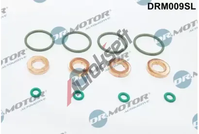 Dr.Motor Automotive Sada těsnění vstřikovací trysky DMA DRM009SL, DRM009SL Dr.Motor Automotive Sada těsnění vstřikovací trysky DMA DRM009SL, DRM009SL