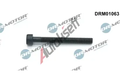 Dr.Motor Automotive roub drku vstikovac trysky DMA DRM01063, DRM01063