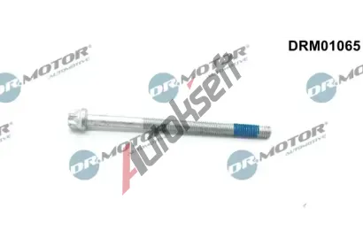 Dr.Motor Automotive roub drku vstikovac trysky DMA DRM01065, DRM01065