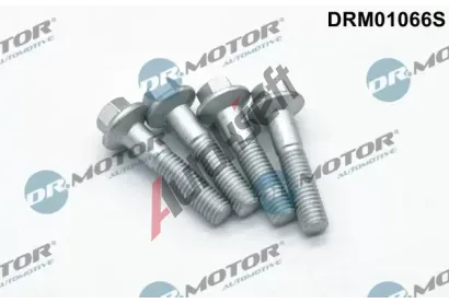 Dr.Motor Automotive Šroub držáku vstřikovací trysky DMA DRM01066S, DRM01066S Dr.Motor Automotive Šroub držáku vstřikovací trysky DMA DRM01066S, DRM01066S