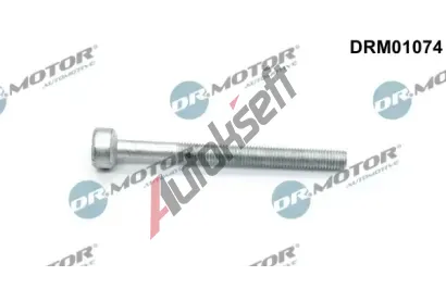 Dr.Motor Automotive Šroub držáku vstřikovací trysky DMA DRM01074, DRM01074 Dr.Motor Automotive Šroub držáku vstřikovací trysky DMA DRM01074, DRM01074