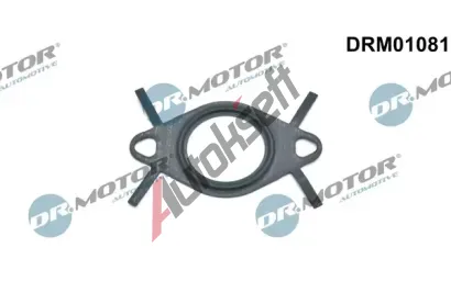 Dr.Motor Automotive Tsnn veden AGR ventilu DMA DRM01081, DRM01081