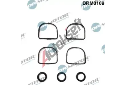Dr.Motor Automotive Sada těsnění kolena sacího potrubí DMA DRM0109, DRM0109 Dr.Motor Automotive Sada těsnění kolena sacího potrubí DMA DRM0109, DRM0109