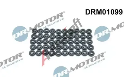 Dr.Motor Automotive Tsnn roub krytu hlavy vlce DMA DRM01099, DRM01099