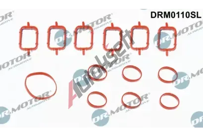 Dr.Motor Automotive Sada těsnění kolena sacího potrubí DMA DRM0110SL, DRM0110SL Dr.Motor Automotive Sada těsnění kolena sacího potrubí DMA DRM0110SL, DRM0110SL