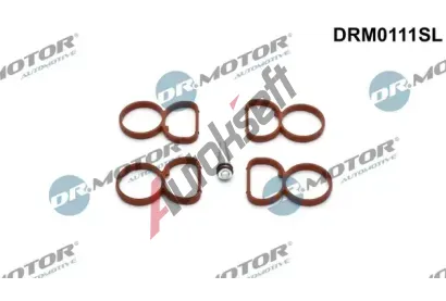 Dr.Motor Automotive Sada těsnění kolena sacího potrubí DMA DRM0111SL, DRM0111SL Dr.Motor Automotive Sada těsnění kolena sacího potrubí DMA DRM0111SL, DRM0111SL
