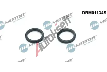 Dr.Motor Automotive Sada tsnn chladie oleje DMA DRM01134S, DRM01134S