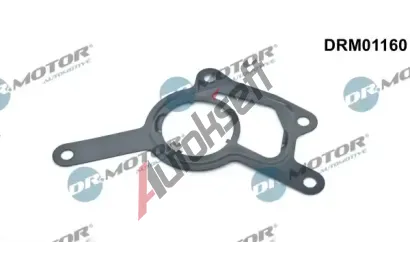 Dr.Motor Automotive Těsnění vakuového čerpadla DMA DRM01160, DRM01160 Dr.Motor Automotive Těsnění vakuového čerpadla DMA DRM01160, DRM01160