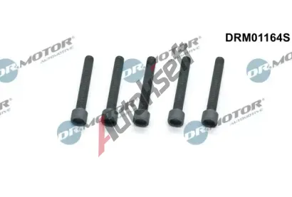 Dr.Motor Automotive Šroub držáku vstřikovací trysky DMA DRM01164S, DRM01164S Dr.Motor Automotive Šroub držáku vstřikovací trysky DMA DRM01164S, DRM01164S