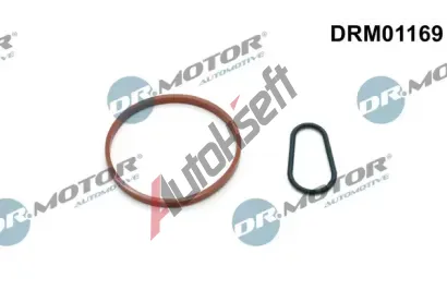 Dr.Motor Automotive Sada tsnn, podtlakov pumpa DMA DRM01169, DRM01169