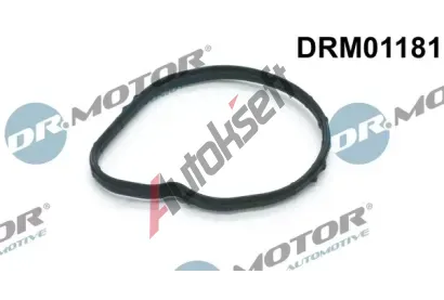 Dr.Motor Automotive Tsnn termostatu DMA DRM01181, DRM01181