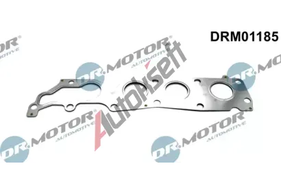 Dr.Motor Automotive Těsnění kolektoru výfukových plynů DMA DRM01185, DRM01185 Dr.Motor Automotive Těsnění kolektoru výfukových plynů DMA DRM01185, DRM01185