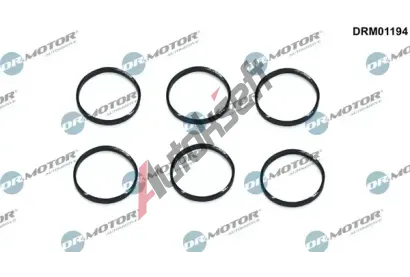 Dr.Motor Automotive Tsnic krouek achty svky DMA DRM01194, DRM01194