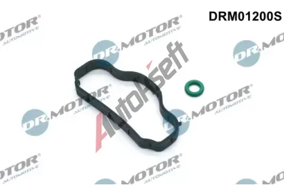 Dr.Motor Automotive Sada tsnn krytu hlavy vlce DMA DRM01200S, DRM01200S