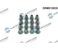 Sada tsnn dku ventilu Dr.Motor Automotive ‐ DMA DRM01202S