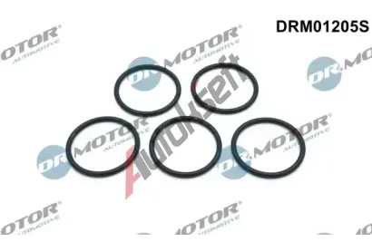Dr.Motor Automotive Sada t�sn�n� vodn�ho �erpadla DMA DRM01205S, DRM01205S