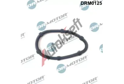 Dr.Motor Automotive Tsnn kolena sacho potrub DMA DRM0125, DRM0125