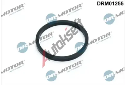 Dr.Motor Automotive Těsnění chladiče oleje DMA DRM01255, DRM01255 Dr.Motor Automotive Těsnění chladiče oleje DMA DRM01255, DRM01255