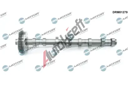 Dr.Motor Automotive Vačkový hřídel DMA DRM01279, DRM01279 Dr.Motor Automotive Vačkový hřídel DMA DRM01279, DRM01279