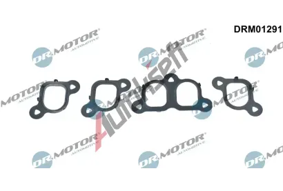 Dr.Motor Automotive Sada těsnění kolena sacího potrubí DMA DRM01291, DRM01291 Dr.Motor Automotive Sada těsnění kolena sacího potrubí DMA DRM01291, DRM01291