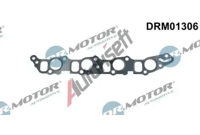 Dr.Motor Automotive Tsnn kolena sacho potrub DMA DRM01306, DRM01306