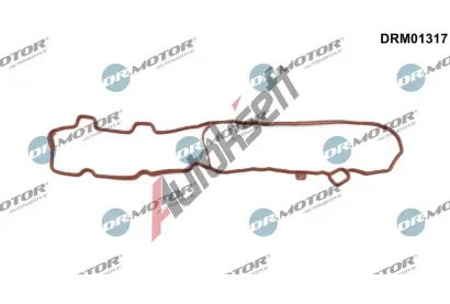 Dr.Motor Automotive Těsnění krytu hlavy válce DMA DRM01317, DRM01317 Dr.Motor Automotive Těsnění krytu hlavy válce DMA DRM01317, DRM01317