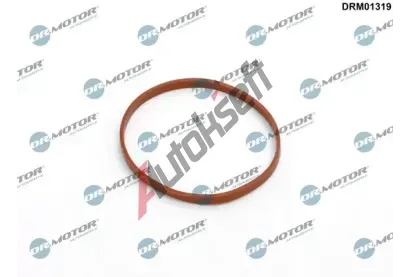 Dr.Motor Automotive Tsnn, hrdlo krtc klapky DMA DRM01319, DRM01319