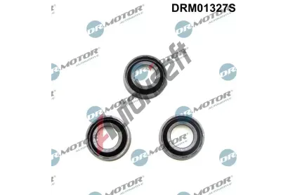 Dr.Motor Automotive Tsnn drku trysky DMA DRM01327S, DRM01327S