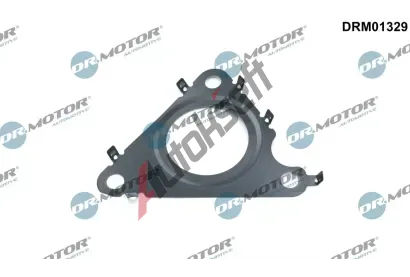Dr.Motor Automotive Tsnn AGR ventilu DMA DRM01329, DRM01329