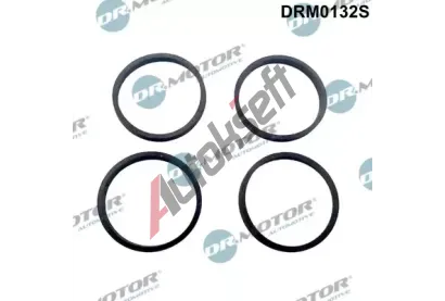 Dr.Motor Automotive Sada tsnn kolena sacho potrub DMA DRM0132S, DRM0132S