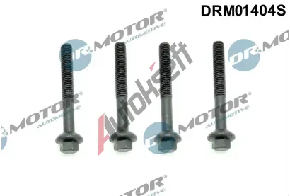 Dr.Motor Automotive Šroub držáku vstřikovací trysky DMA DRM01404S, DRM01404S Dr.Motor Automotive Šroub držáku vstřikovací trysky DMA DRM01404S, DRM01404S