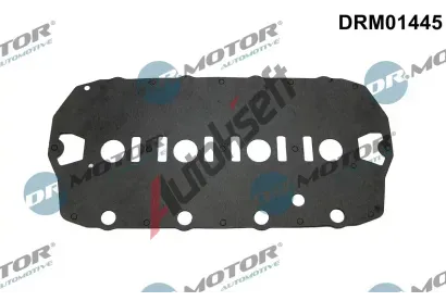 Dr.Motor Automotive Tsnn krytu hlavy vlce DMA DRM01445, DRM01445