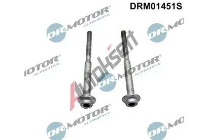 Dr.Motor Automotive Šroub držáku vstřikovací trysky DMA DRM01451S, DRM01451S Dr.Motor Automotive Šroub držáku vstřikovací trysky DMA DRM01451S, DRM01451S