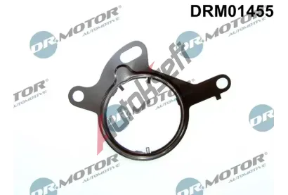 Dr.Motor Automotive Tsnn vakuovho erpadla DMA DRM01455, DRM01455