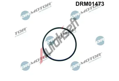 Dr.Motor Automotive Těsnění palivového čerpadla DMA DRM01473, DRM01473 Dr.Motor Automotive Těsnění palivového čerpadla DMA DRM01473, DRM01473
