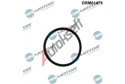 Dr.Motor Automotive Tsnn vstikovacho erpadla DMA DRM01479, DRM01479