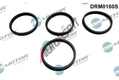Dr.Motor Automotive Sada těsnění kolena sacího potrubí DMA DRM0160S, DRM0160S Dr.Motor Automotive Sada těsnění kolena sacího potrubí DMA DRM0160S, DRM0160S