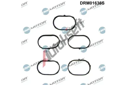 Dr.Motor Automotive Sada těsnění kolena sacího potrubí DMA DRM01636S, DRM01636S Dr.Motor Automotive Sada těsnění kolena sacího potrubí DMA DRM01636S, DRM01636S