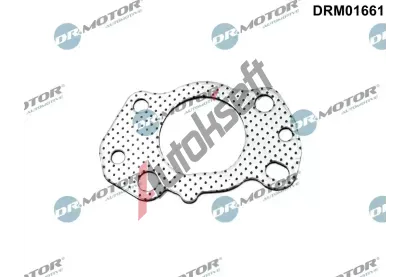 Dr.Motor Automotive Těsnění kolektoru výfukových plynů DMA DRM01661, DRM01661 Dr.Motor Automotive Těsnění kolektoru výfukových plynů DMA DRM01661, DRM01661