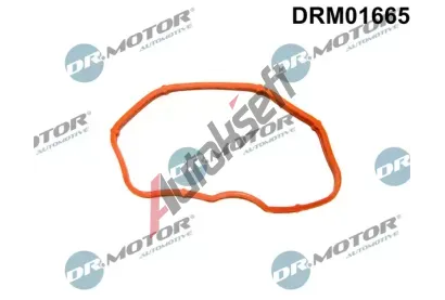 Dr.Motor Automotive Tsnn kolena sacho potrub DMA DRM01665, DRM01665