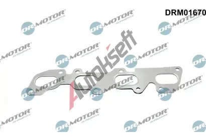 Dr.Motor Automotive Těsnění kolektoru výfukových plynů DMA DRM01670, DRM01670 Dr.Motor Automotive Těsnění kolektoru výfukových plynů DMA DRM01670, DRM01670