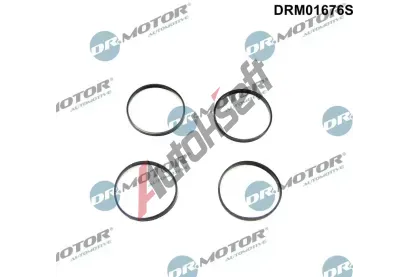 Dr.Motor Automotive Sada t�sn�n� kolena sac�ho potrub� DMA DRM01676S, DRM01676S