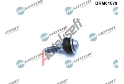 Dr.Motor Automotive roub krytu hlavy vlce DMA DRM01679, DRM01679