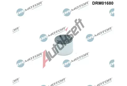 Dr.Motor Automotive Píst vysokotlaké pumpy DMA DRM01680, DRM01680 Dr.Motor Automotive Píst vysokotlaké pumpy DMA DRM01680, DRM01680