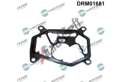 Dr.Motor Automotive Těsnění vakuového čerpadla DMA DRM01681, DRM01681 Dr.Motor Automotive Těsnění vakuového čerpadla DMA DRM01681, DRM01681